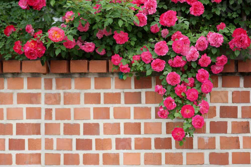 Kate春の花の背景ヴィンテージレンガの壁Chain Photography