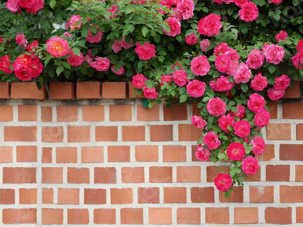 Kate春の花の背景ヴィンテージレンガの壁Chain Photography