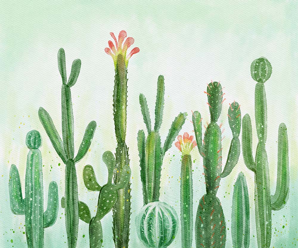 Kate緑の植物サボテンの背景Uta Mueller設計
