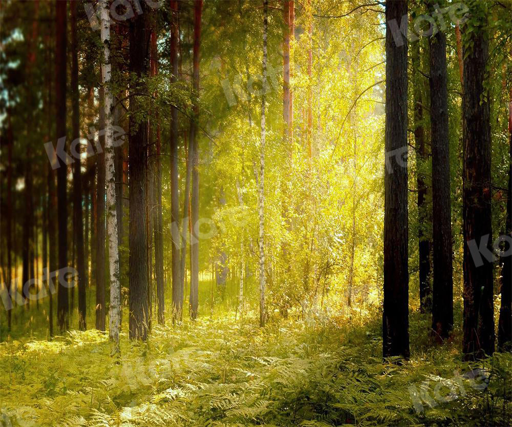 Kate写真撮影の森の中の朝日草や木の背景