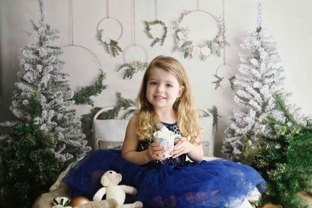 Kate クリスマス/冬のベッドの背景設計されたMandy Ringe Photography