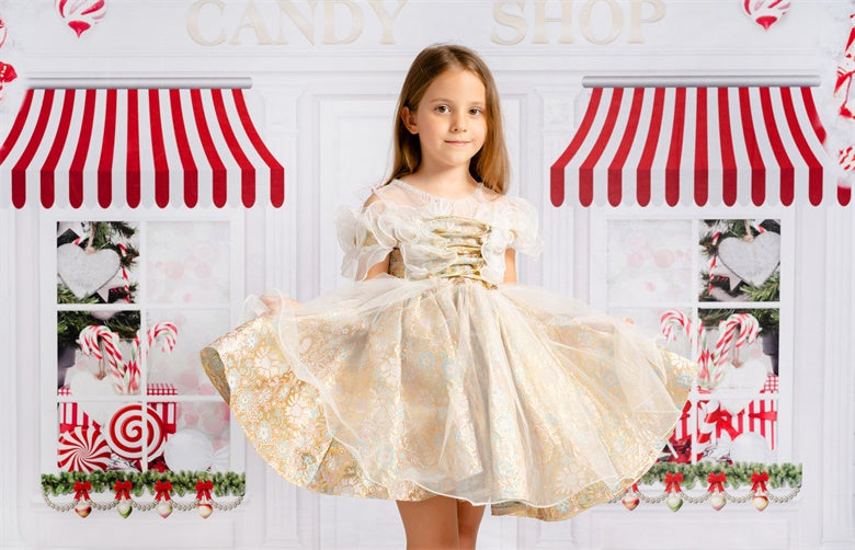 Kate 写真撮影のためのクリスマス菓子店の背景
