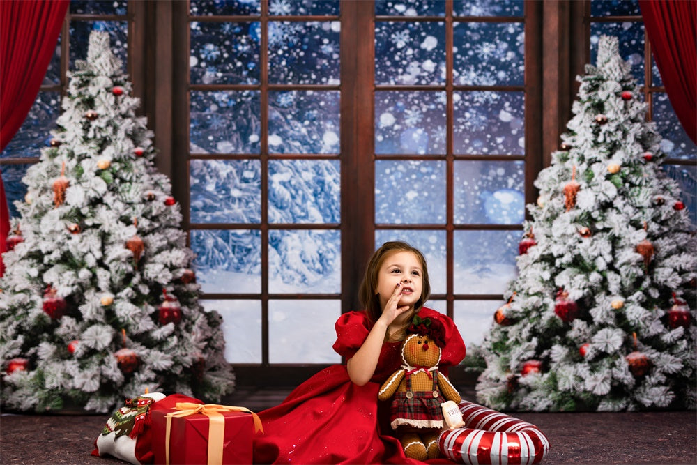 Kate冬の雪のクリスマスウィンドウの背景写真家Chain