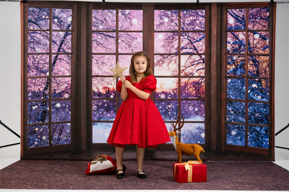 Kate冬のクリスマスの夜の背景フランス窓写真家Chain