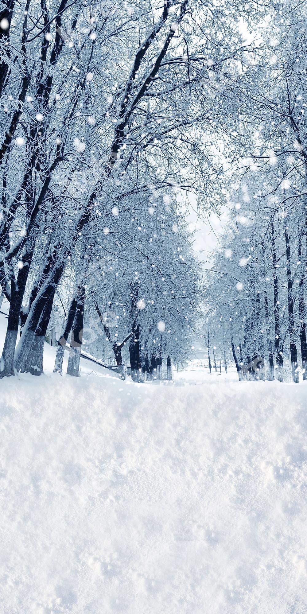 kateスプライシング冬/クリスマス雪林背景