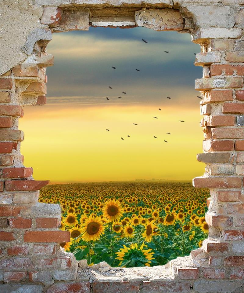 Kate壊れた壁とひまわり畑の背景Chainデザイン