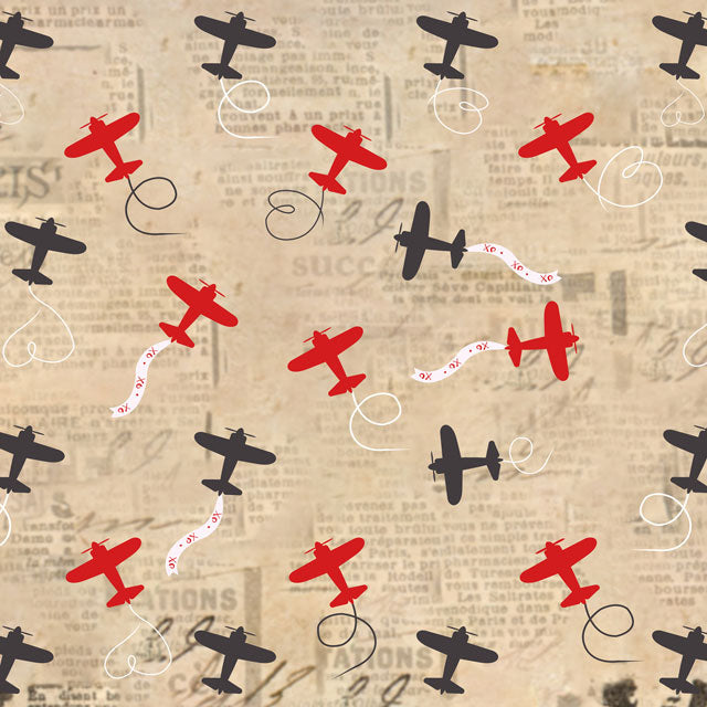 Kate 写真のためのレトロな飛行機バレンタインの背景 のデザインです JS Photography