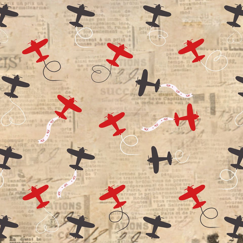 Kate 写真のためのレトロな飛行機バレンタインの背景 のデザインです JS Photography