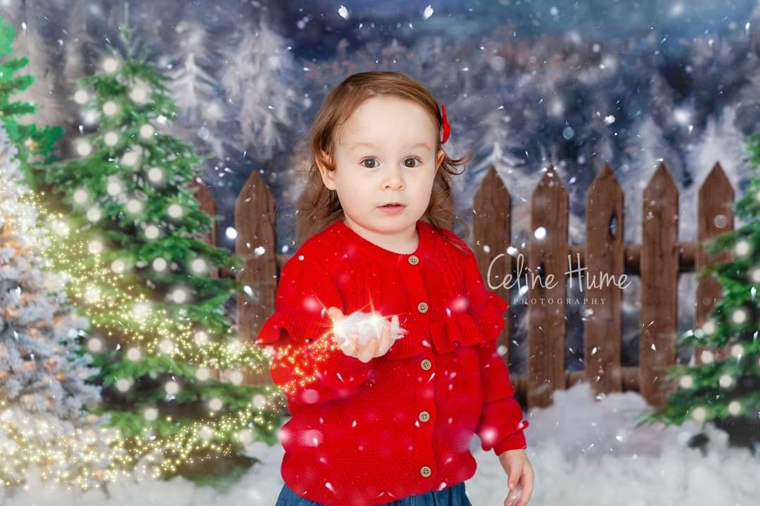 Kate クリスマスツリーの農場の写真撮影の背景