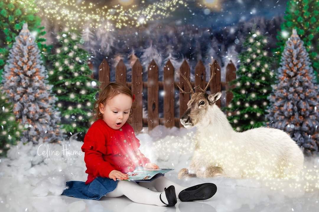 Kate クリスマスツリーの農場の写真撮影の背景