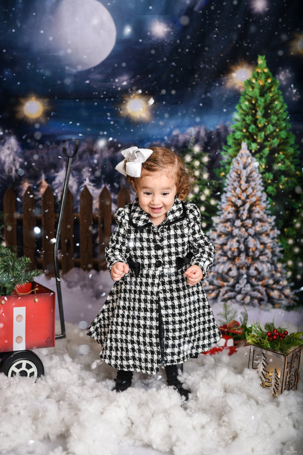 Kate クリスマスツリーの農場の写真撮影の背景