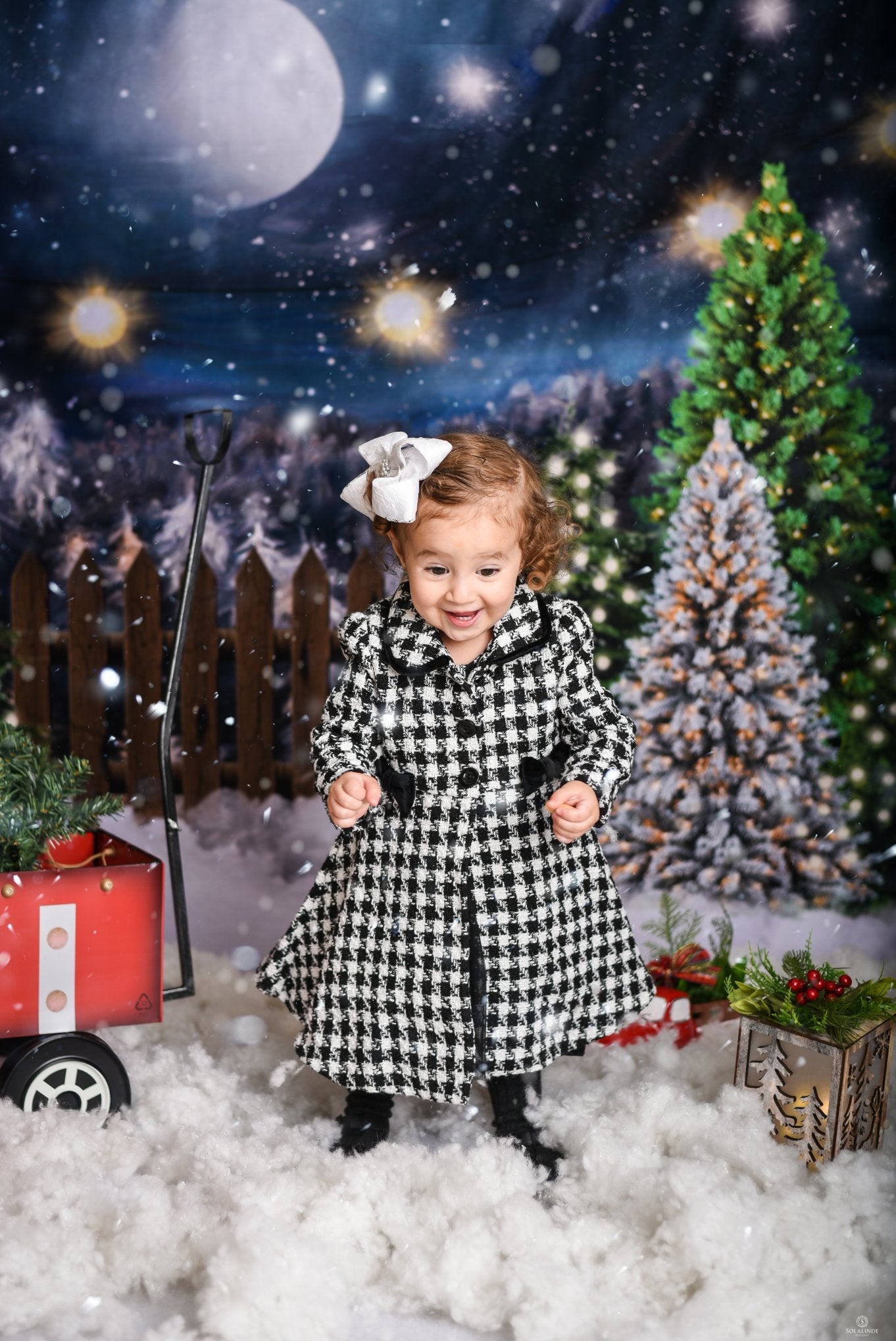 Kate クリスマスツリーの農場の写真撮影の背景