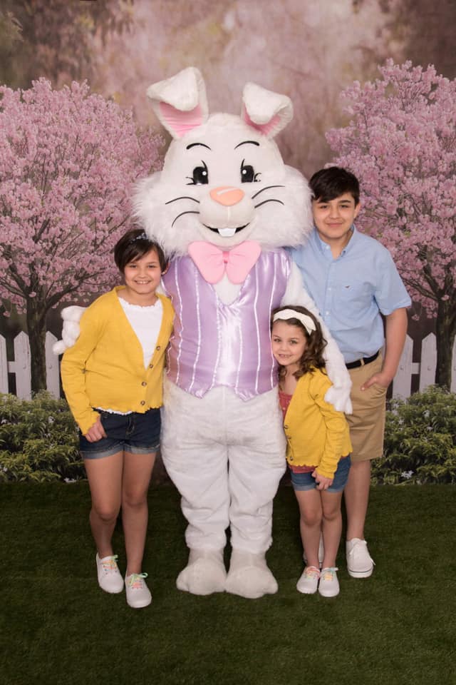 Kate 写真撮影のための春の庭の桜の背景