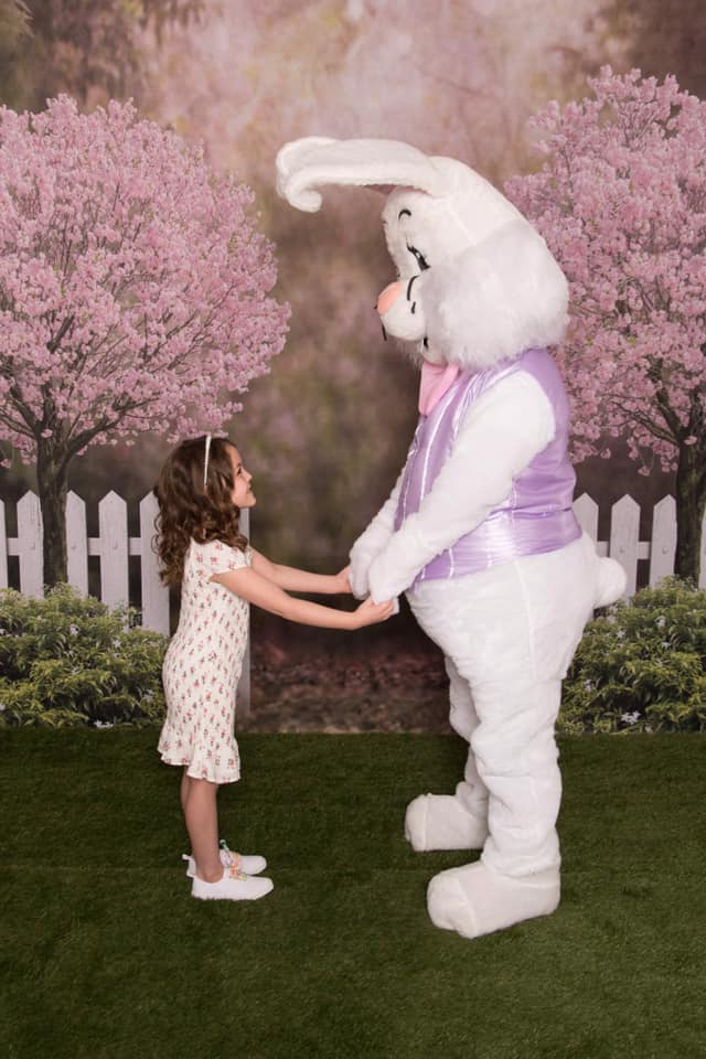 Kate 写真撮影のための春の庭の桜の背景