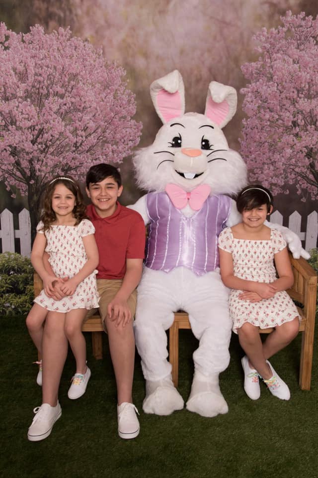 Kate 写真撮影のための春の庭の桜の背景