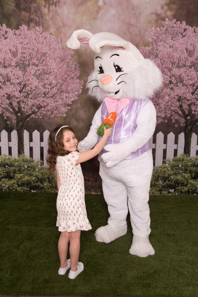 Kate 写真撮影のための春の庭の桜の背景