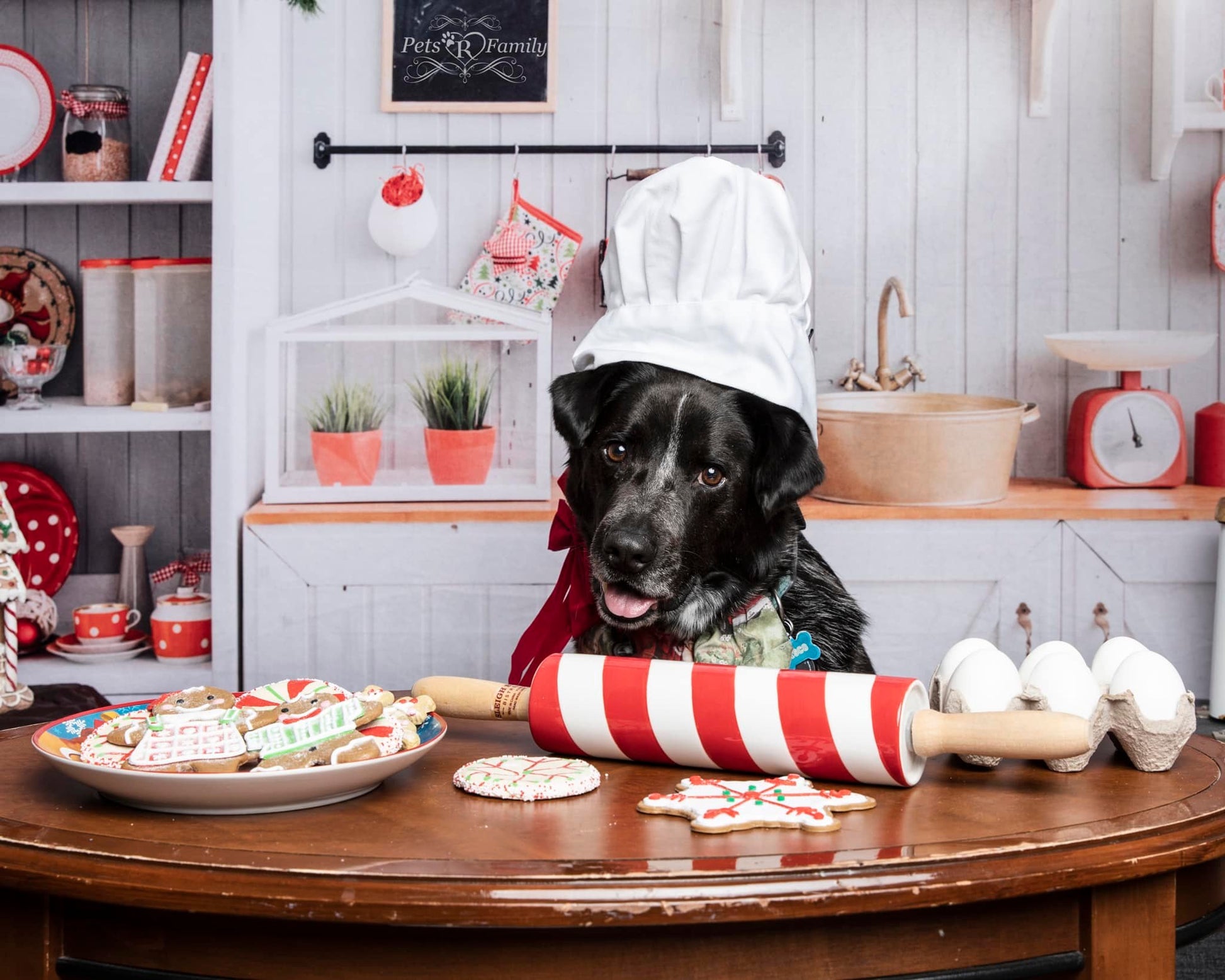 kate クリスマス白い壁のキッチンの背景布 写真撮影用