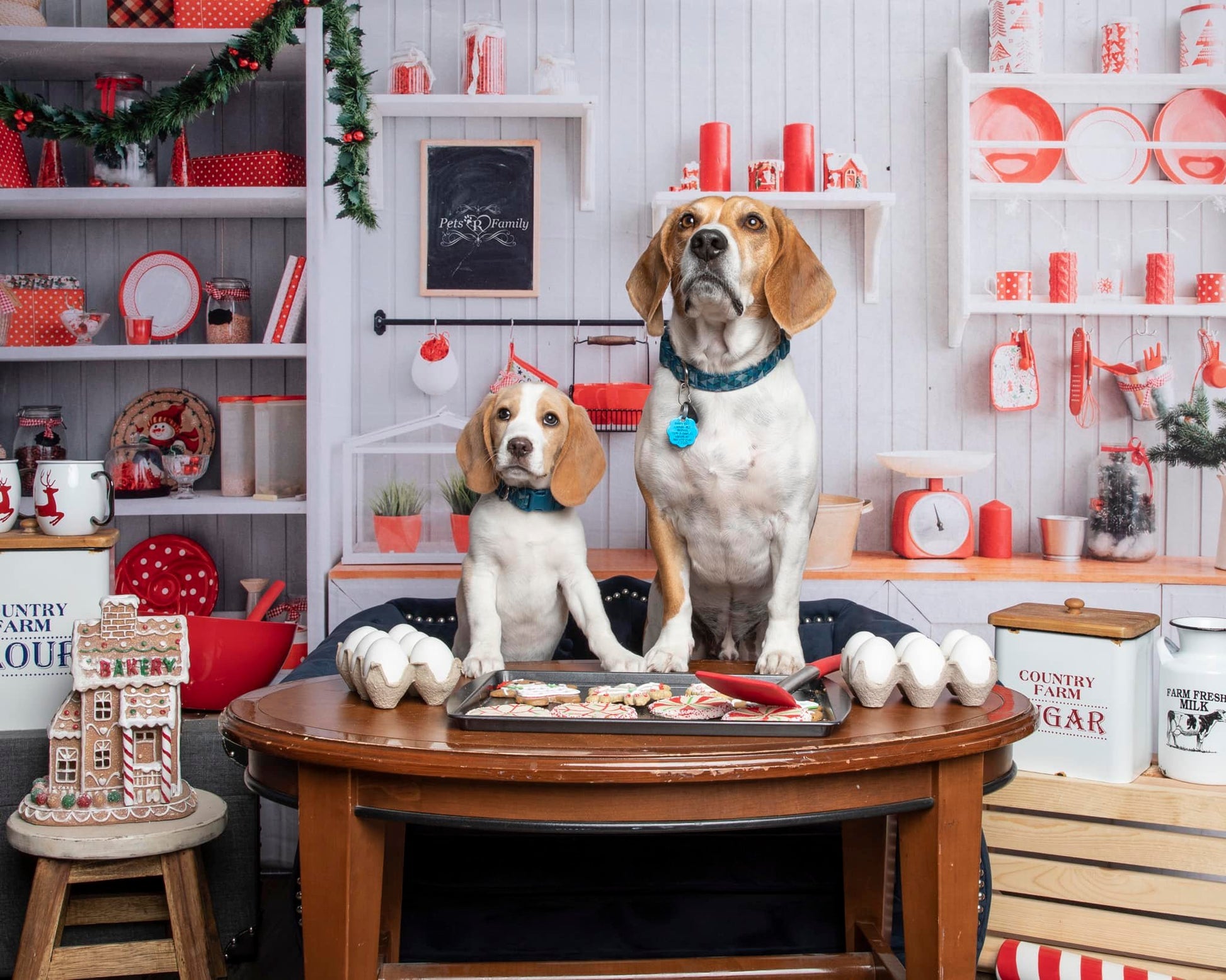 kate クリスマス白い壁のキッチンの背景布 写真撮影用