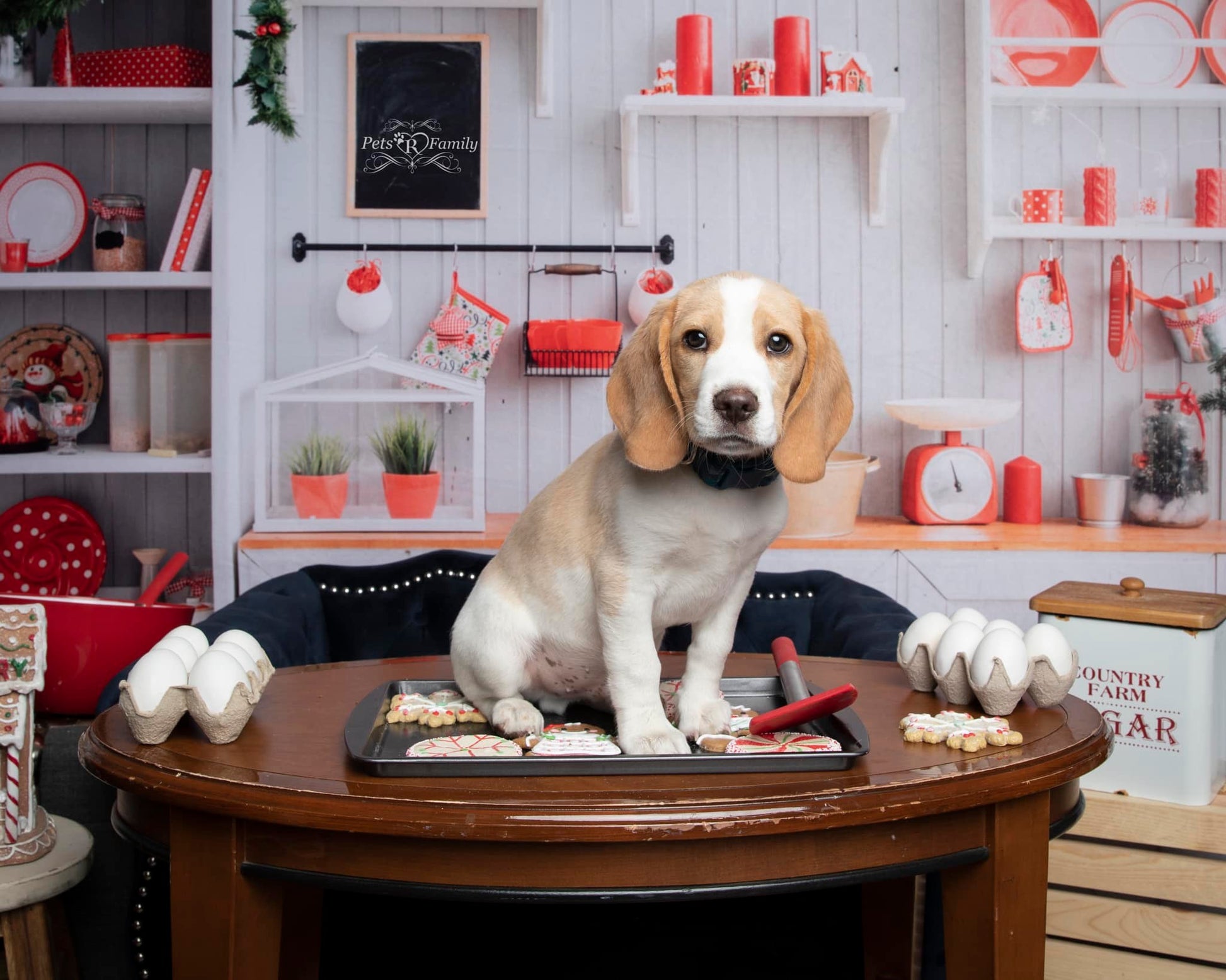 kate クリスマス白い壁のキッチンの背景布 写真撮影用