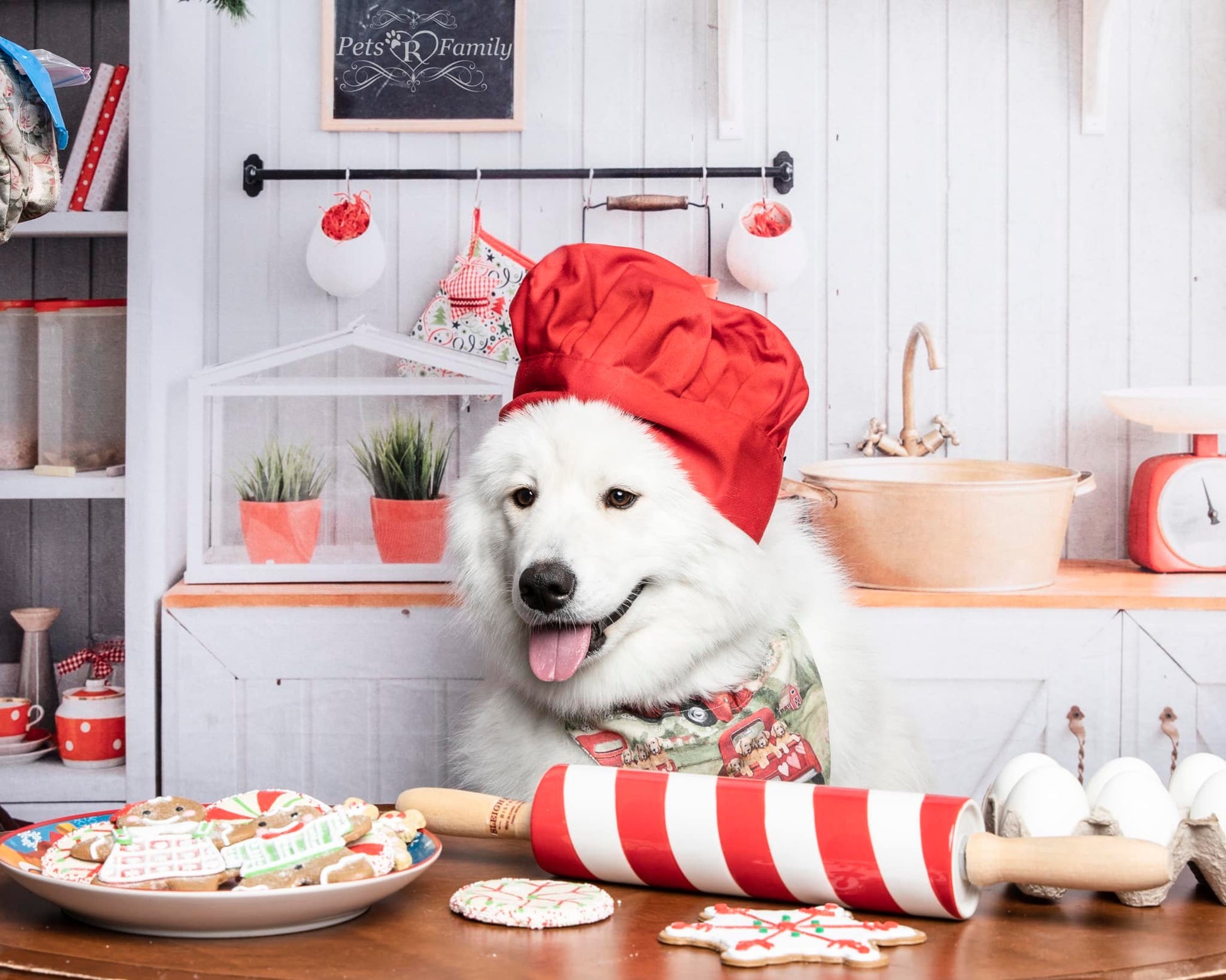 kate クリスマス白い壁のキッチンの背景布 写真撮影用