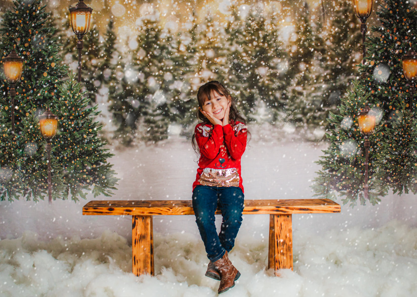 Kate 写真撮影のためのクリスマスの雪の森のライトの背景