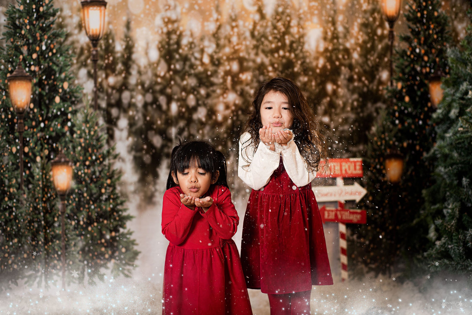 Kate 写真撮影のためのクリスマスの雪の森のライトの背景