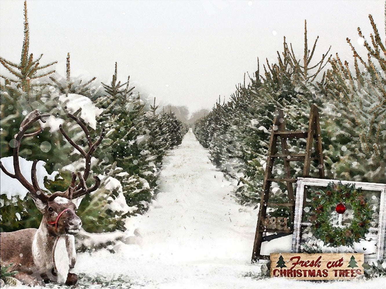 Kate 写真撮影のためのクリスマスツリーの背景