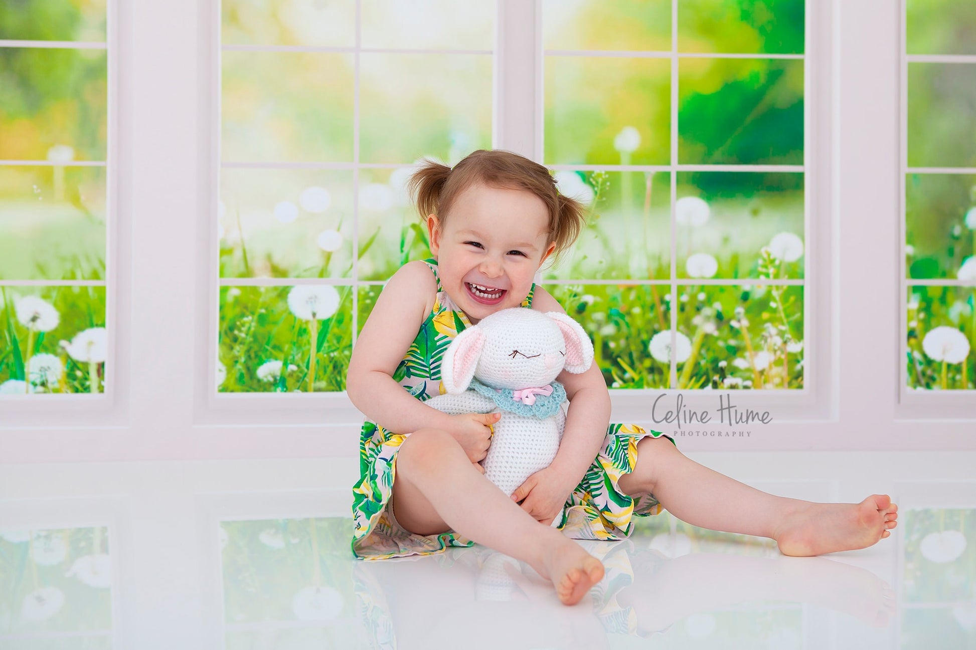 Kate 春の草の花 窓 背景