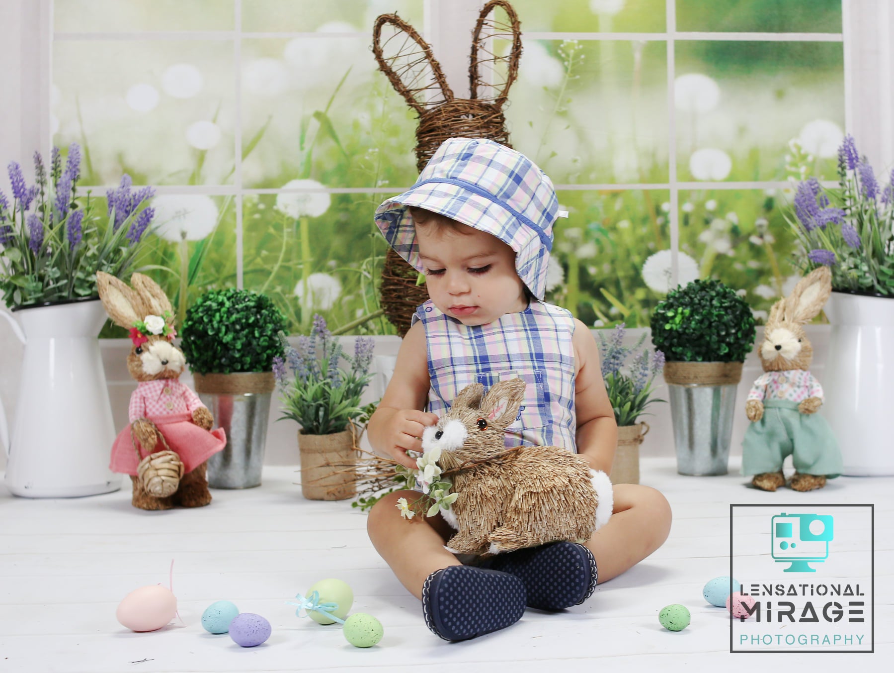 Kate 春の草の花 窓 背景