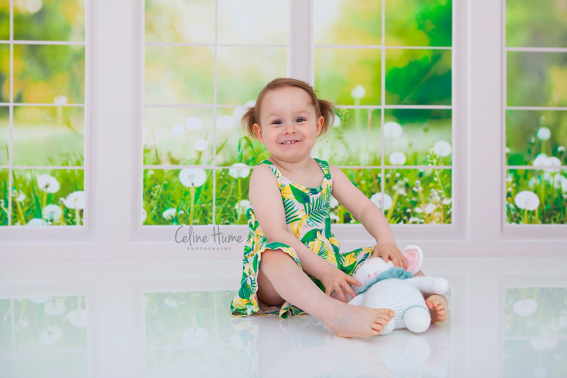 Kate 春の草の花 窓 背景