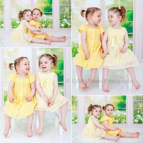 Kate 春の草の花 窓 背景