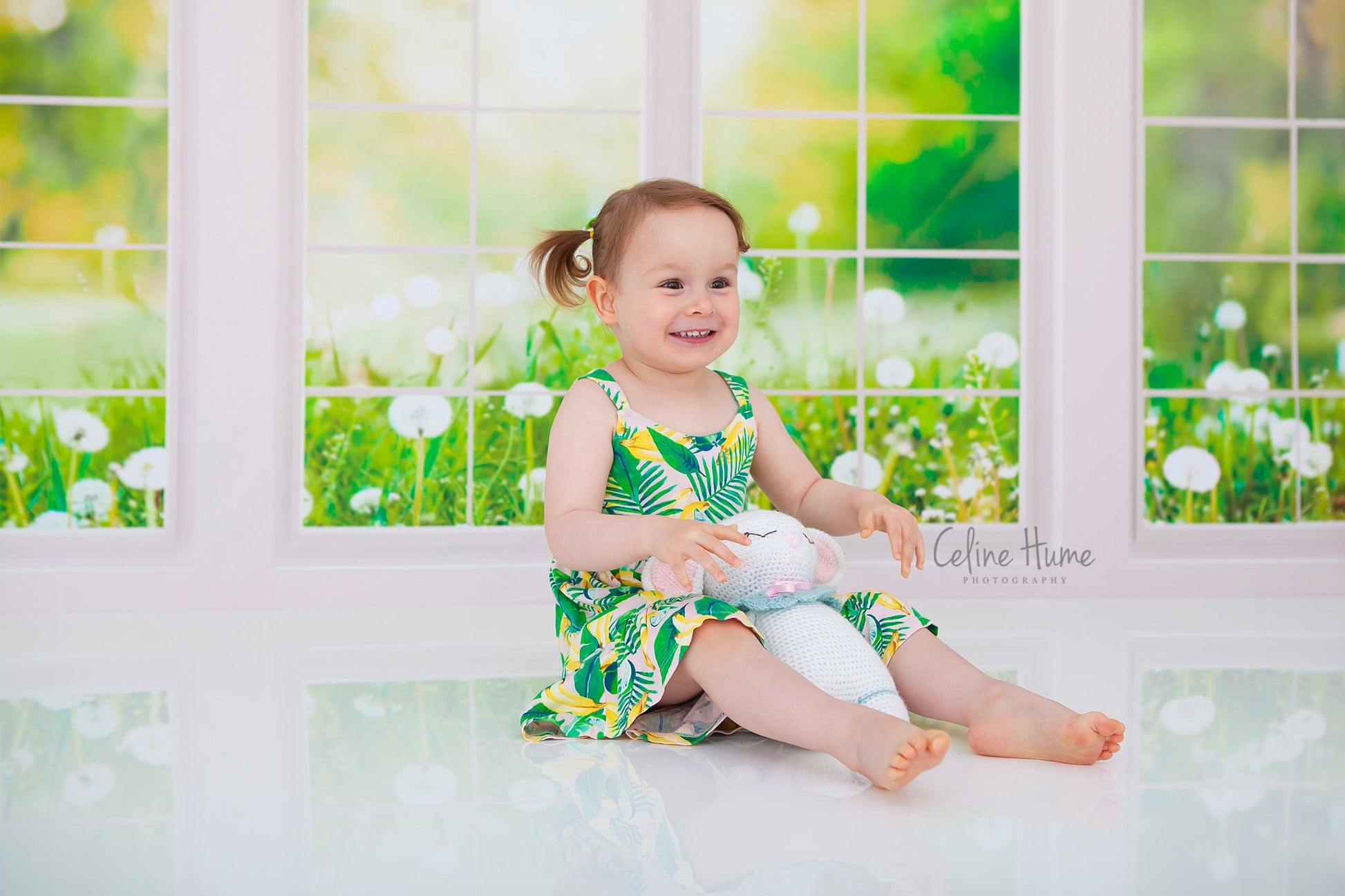 Kate 春の草の花 窓 背景