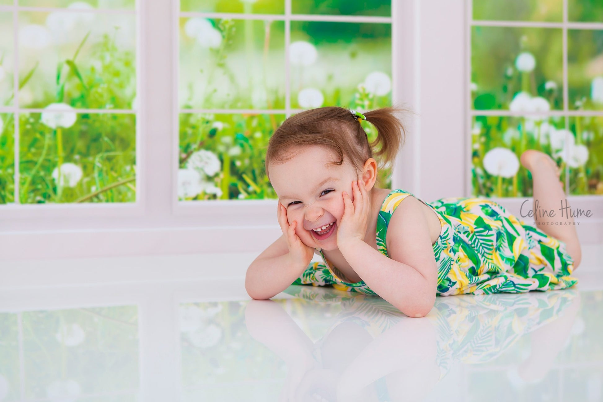 Kate 春の草の花 窓 背景