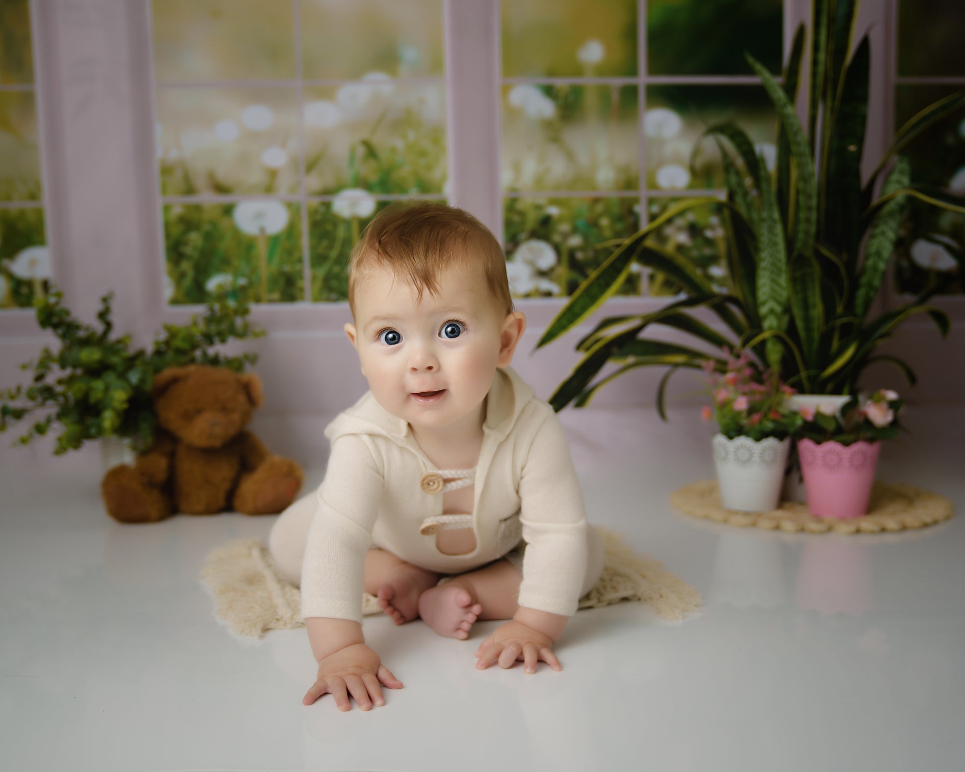 Kate 春の草の花 窓 背景