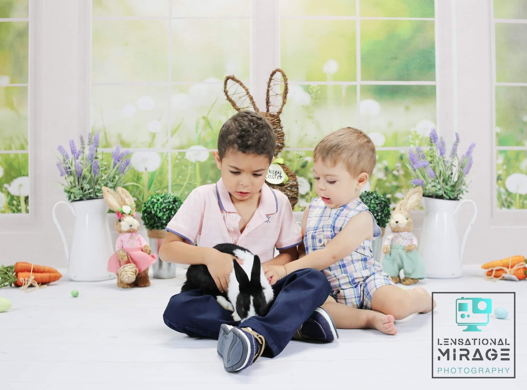 Kate 春の草の花 窓 背景