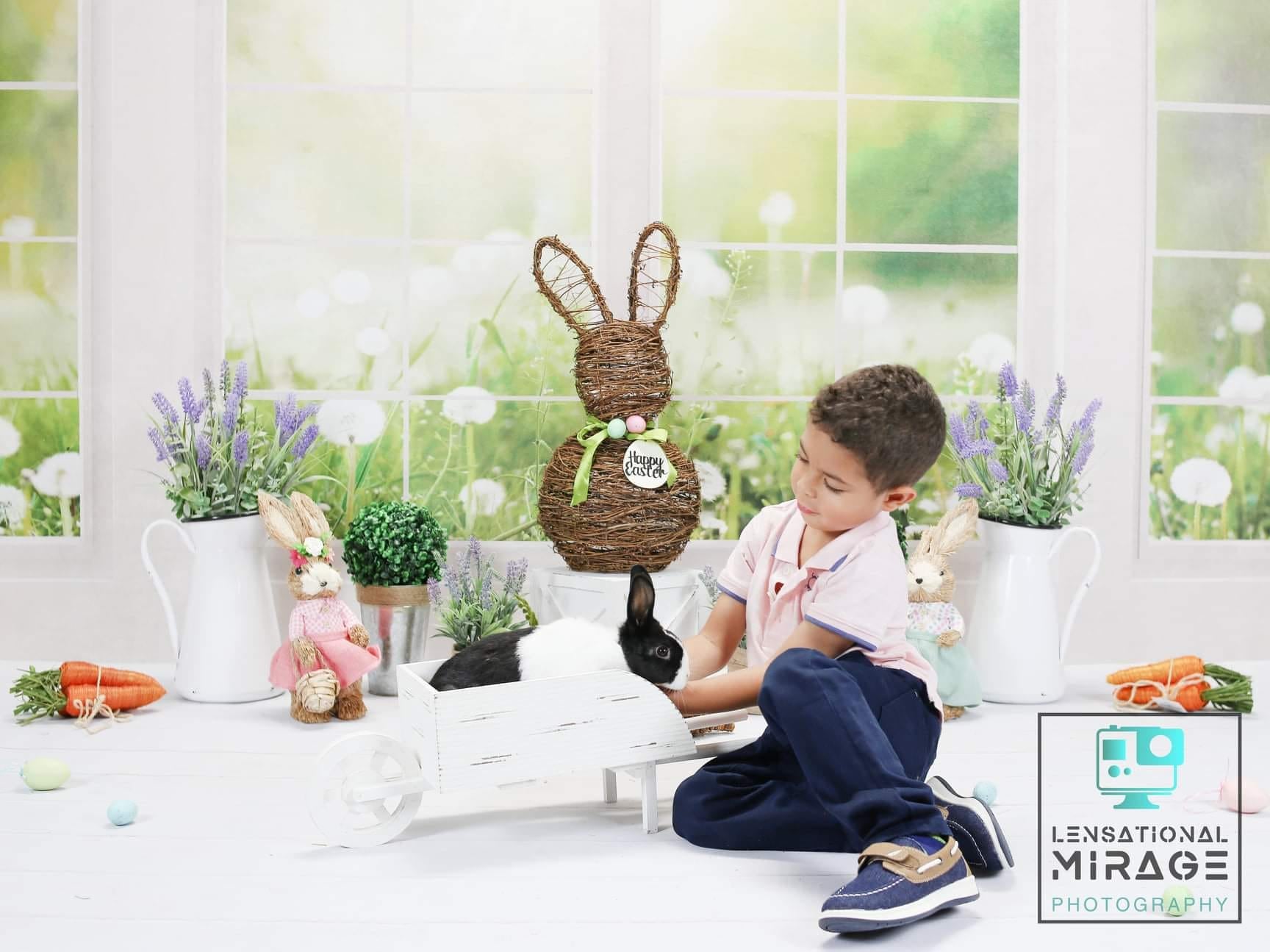 Kate 春の草の花 窓 背景