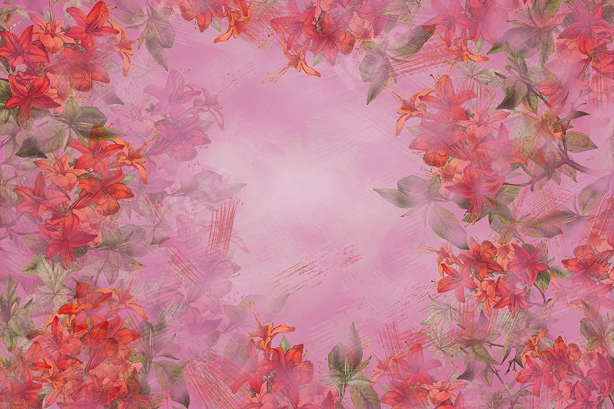 Kate ファインアート花の赤い背景