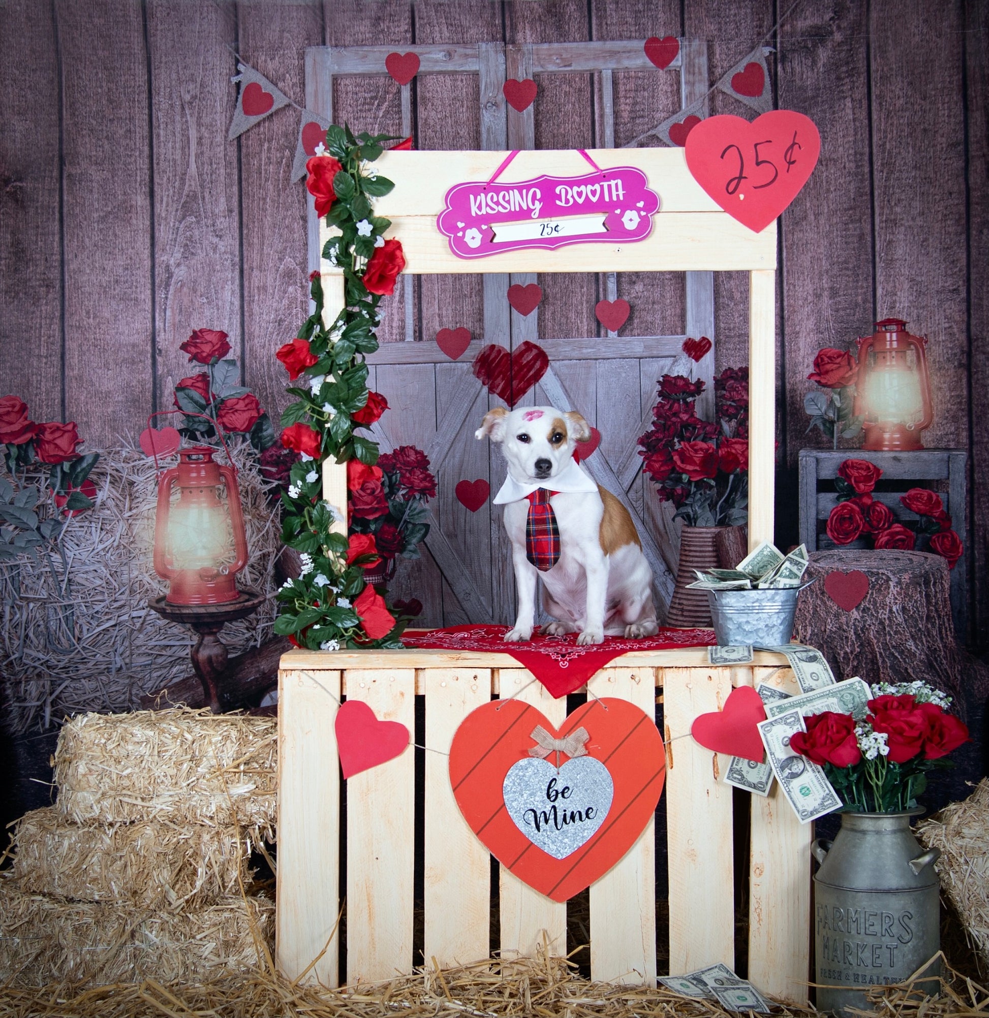 Kate バレンタインデーのバラの白いドアライトの背景