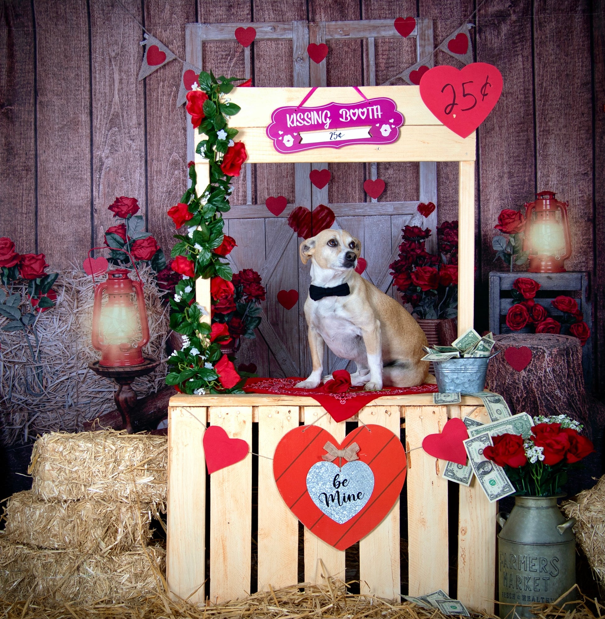 Kate バレンタインデーのバラの白いドアライトの背景