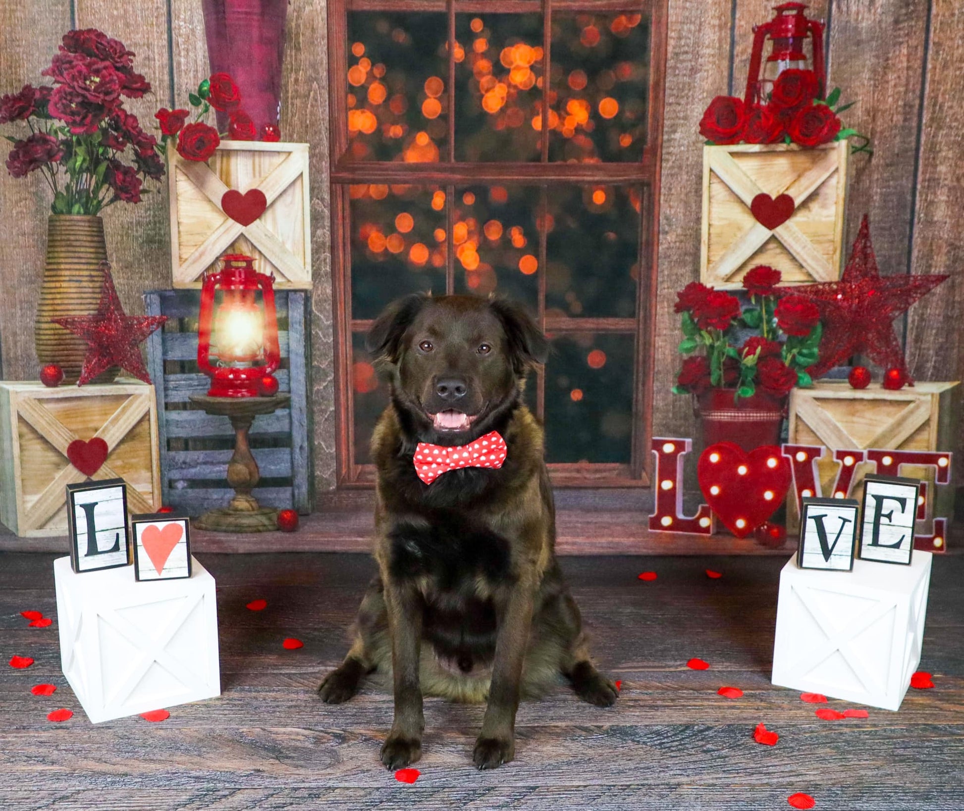 Kate ヴィンテージバレンタインデーの背景によって設計された  Emetselch