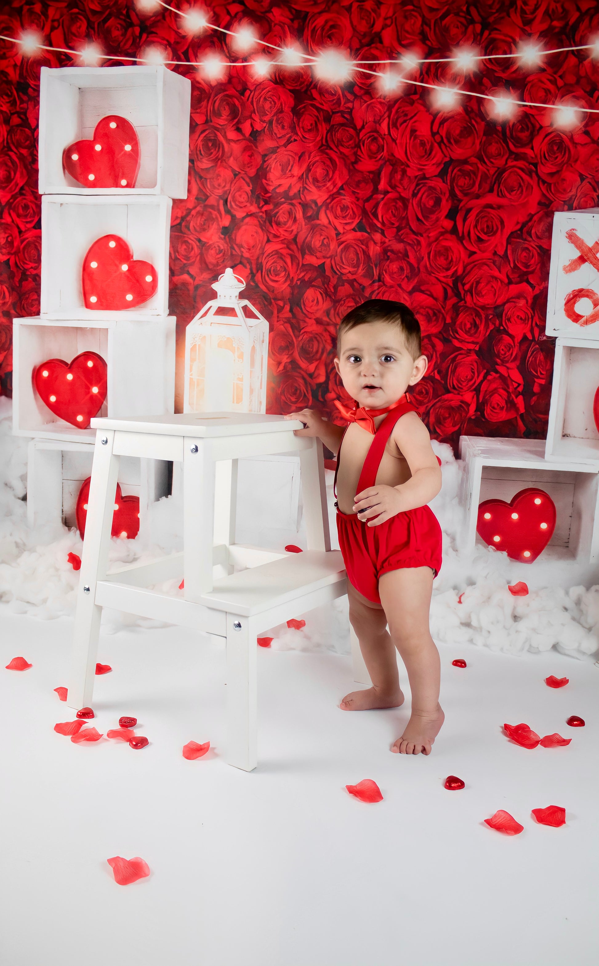 Kate 赤いバラのバレンタインデーの写真撮影の背景