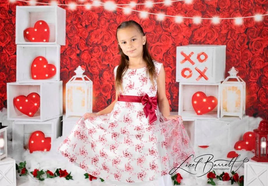 Kate 赤いバラのバレンタインデーの写真撮影の背景