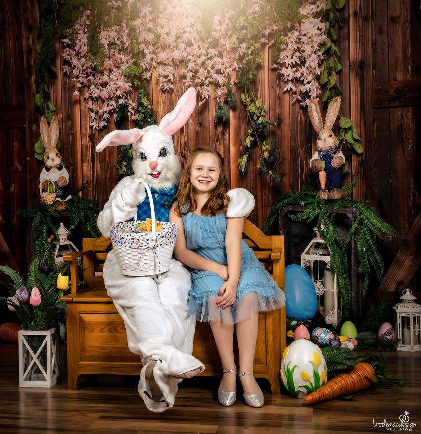 kate イースターエッグバニーブラウン木造納屋春の背景