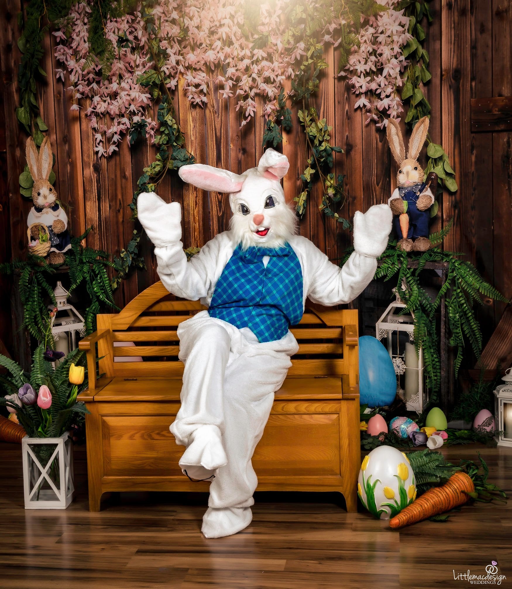 kate イースターエッグバニーブラウン木造納屋春の背景