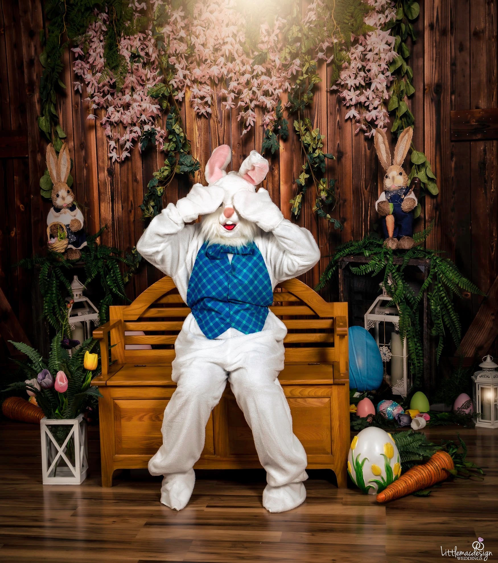 kate イースターエッグバニーブラウン木造納屋春の背景