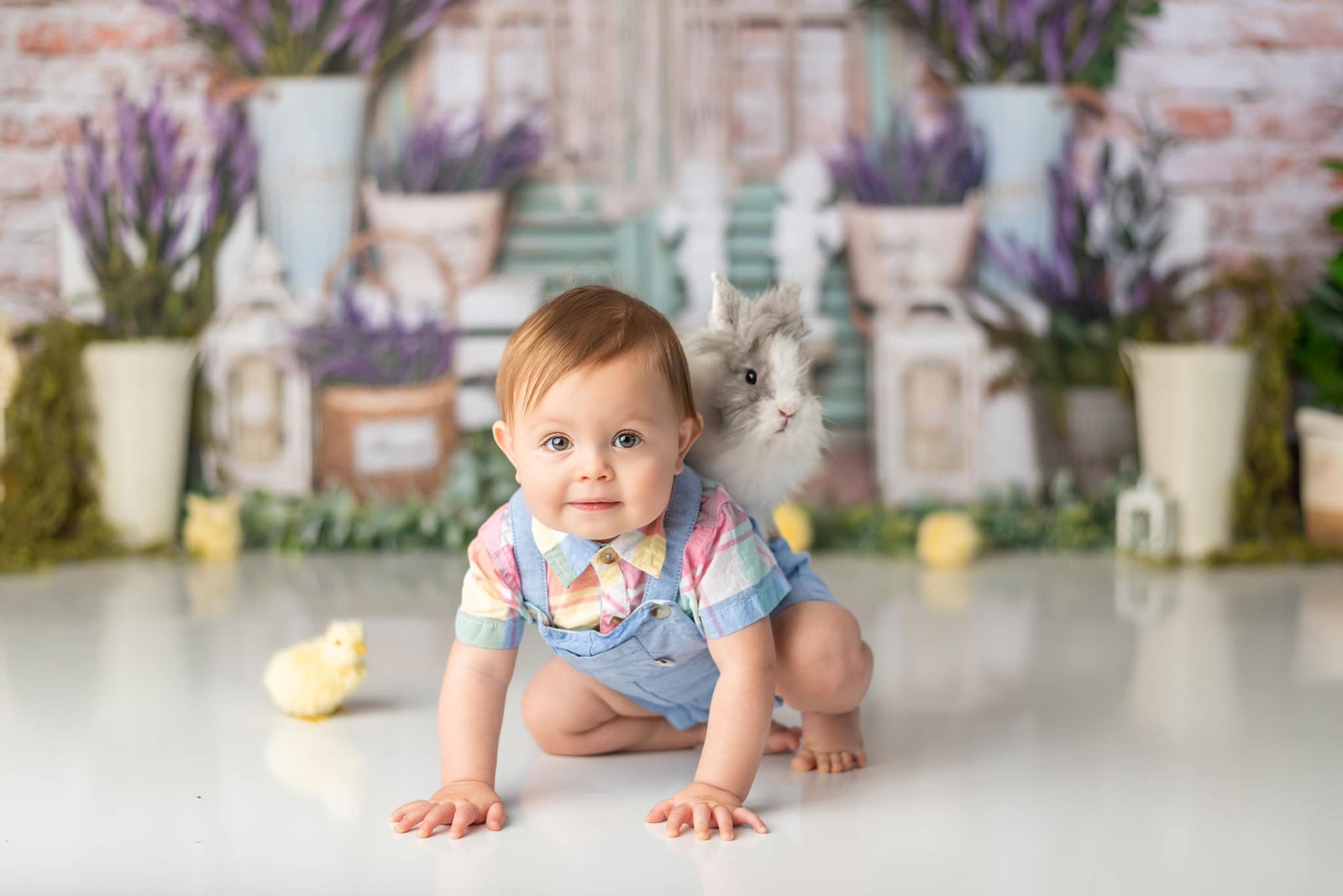 Kate 子供のための植物レンガの背景