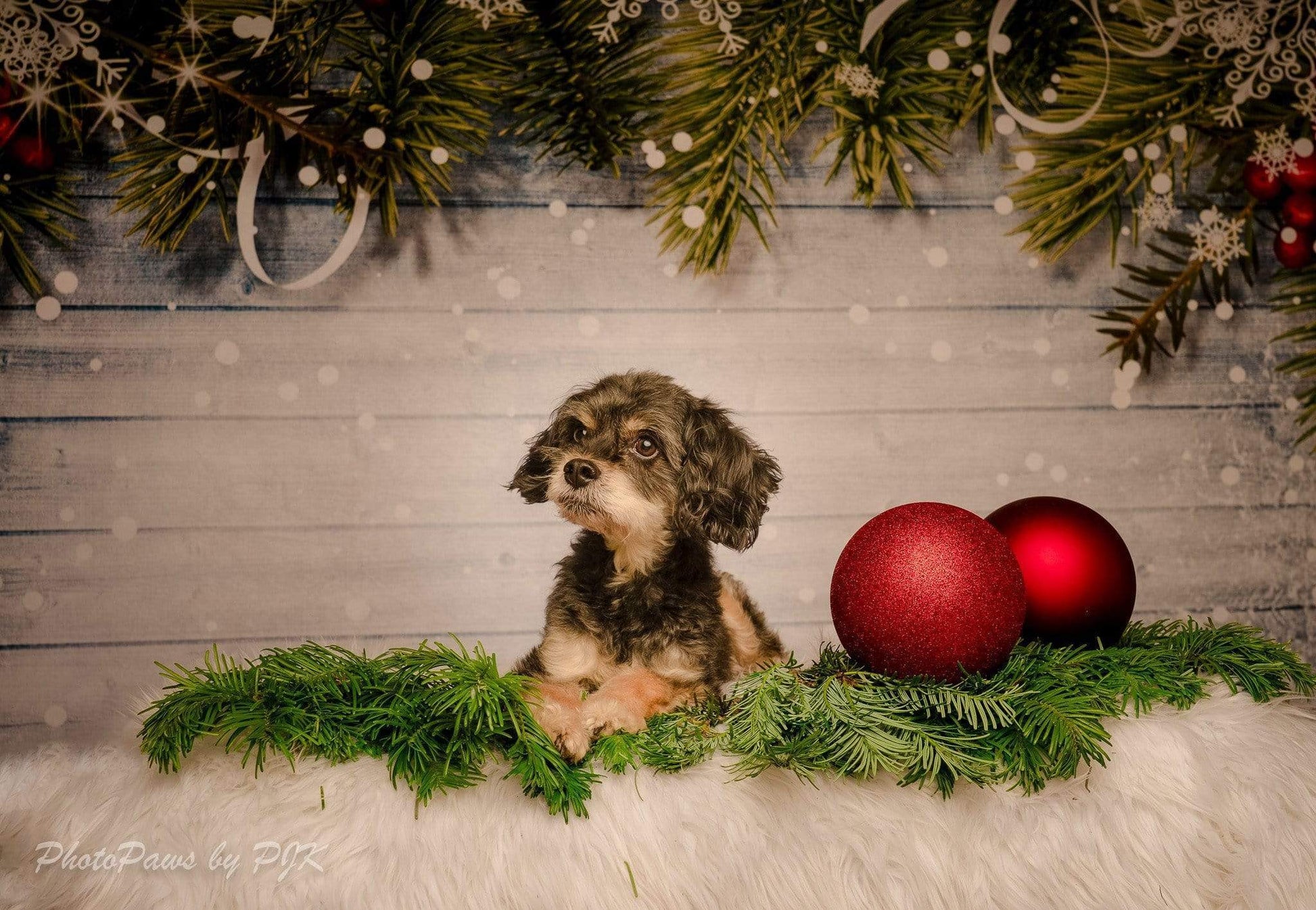 Kate ウッドクリスマス背景