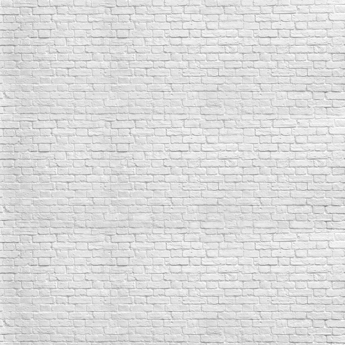 Kate グレーホワイトレンガ壁卒業背景スタジオ