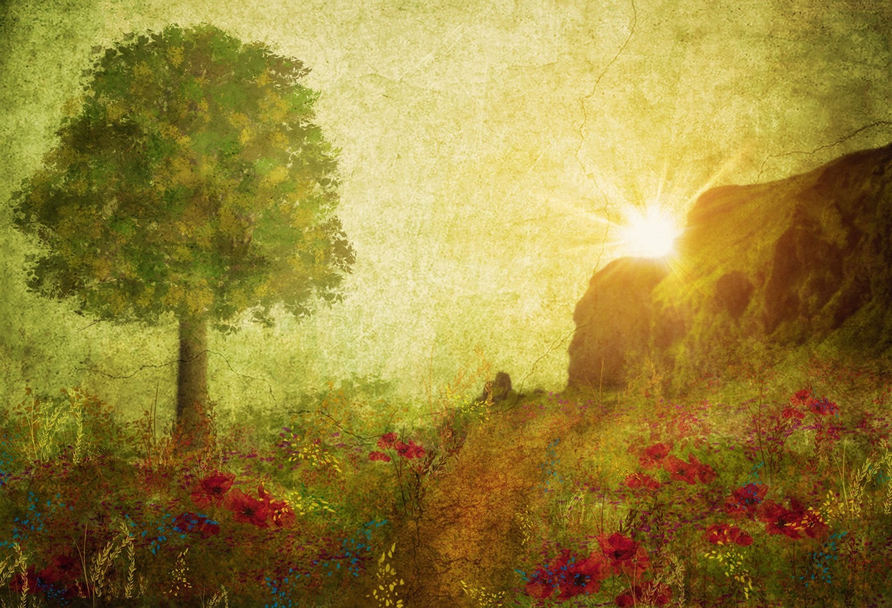 写真撮影のためのKate夏の絵画ヴィンテージ日の出背景