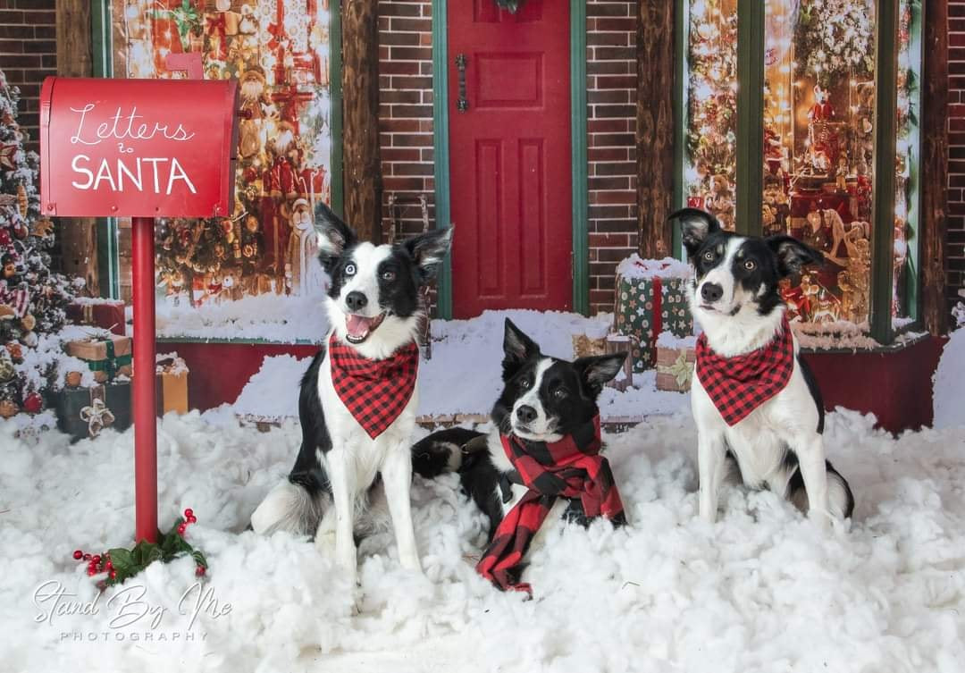 Kate 冬の雪のクリスマスギフトストアの背景